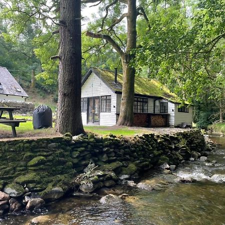 Cuckoo Cabin, Tyn Y Cwm Eglwys-Fach Ngoại thất bức ảnh