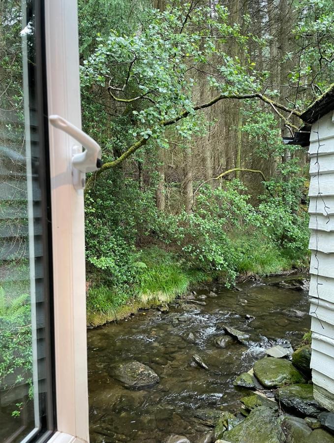 Cuckoo Cabin, Tyn Y Cwm Eglwys-Fach Ngoại thất bức ảnh